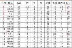 开云体育登录-马洛卡客场战平对手，积分榜稍有起伏